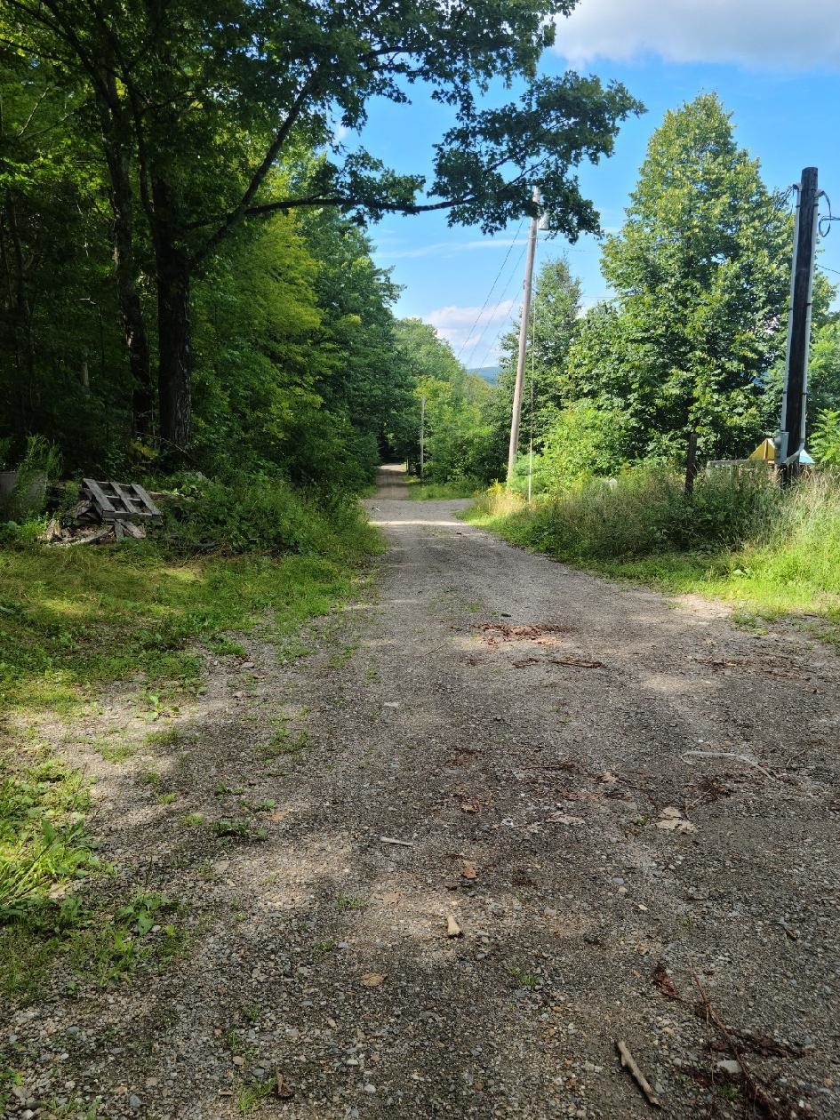 219 Murphy Hill Road Alstead, NH 03602 - Photo 2 of 3