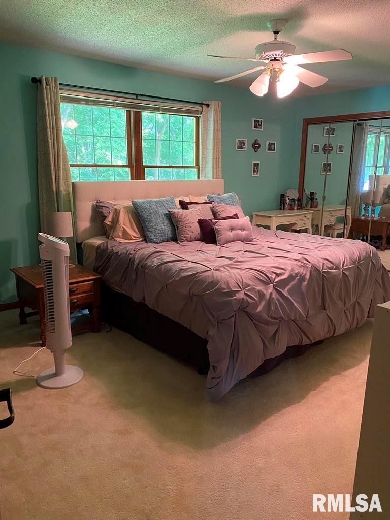 1129 Willowbrook Lane Springfield, IL 62711 - Photo 15 of 45 Gallery Image 15