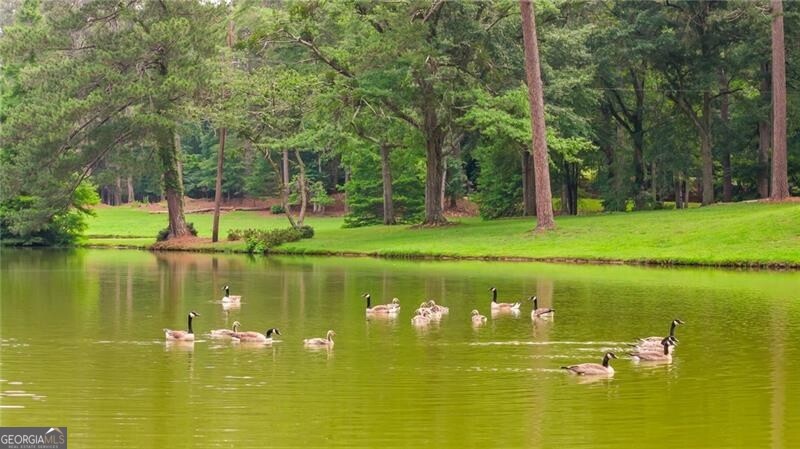 0 Capps Ferry Road Chattahoochee Hills, GA 30268 - Photo 65 of 71
