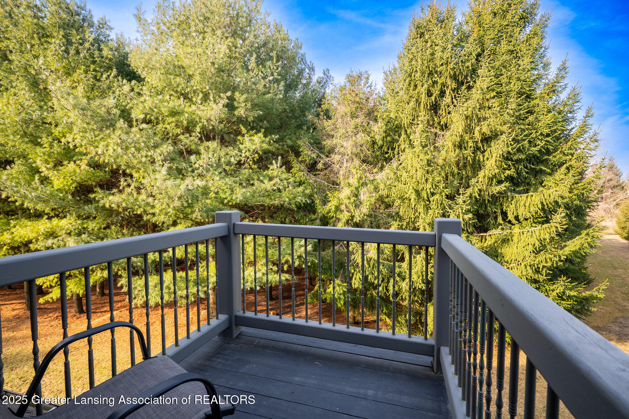 3410 Morton Road Stockbridge, MI 49285 - Photo 17 of 55 Balcony