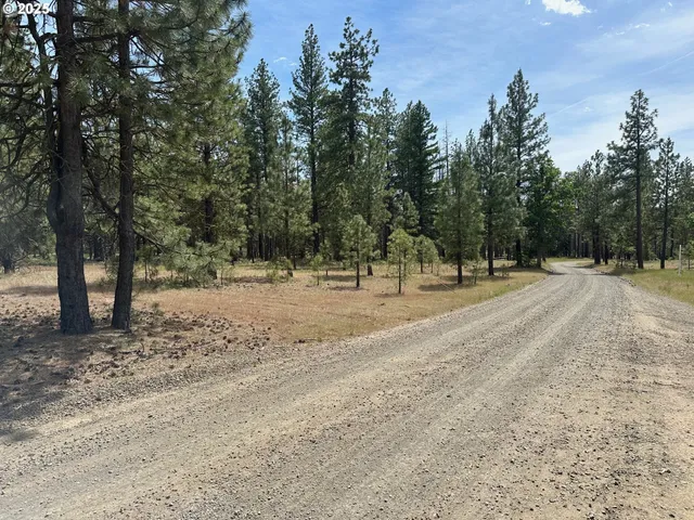 a view of outdoor space with trees