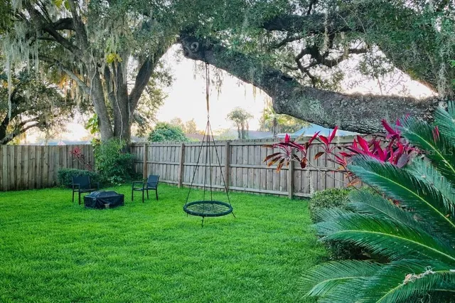 a view of a backyard