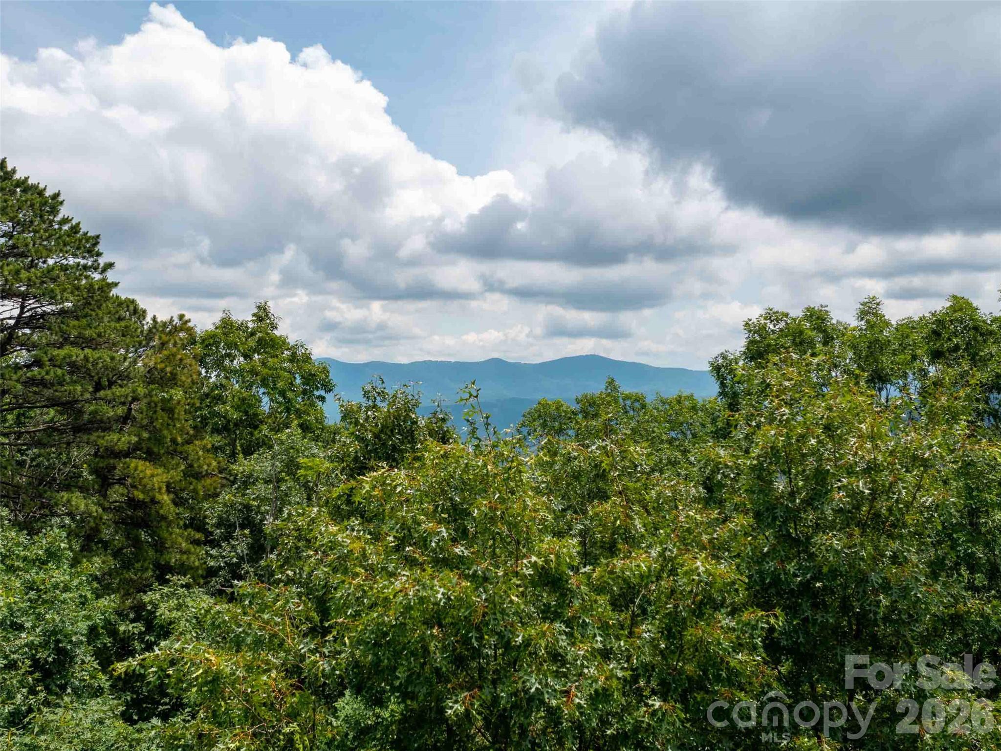 288 Eastman Place Mill Spring, NC 28756 - Photo 5 of 15 a view of a bunch of trees