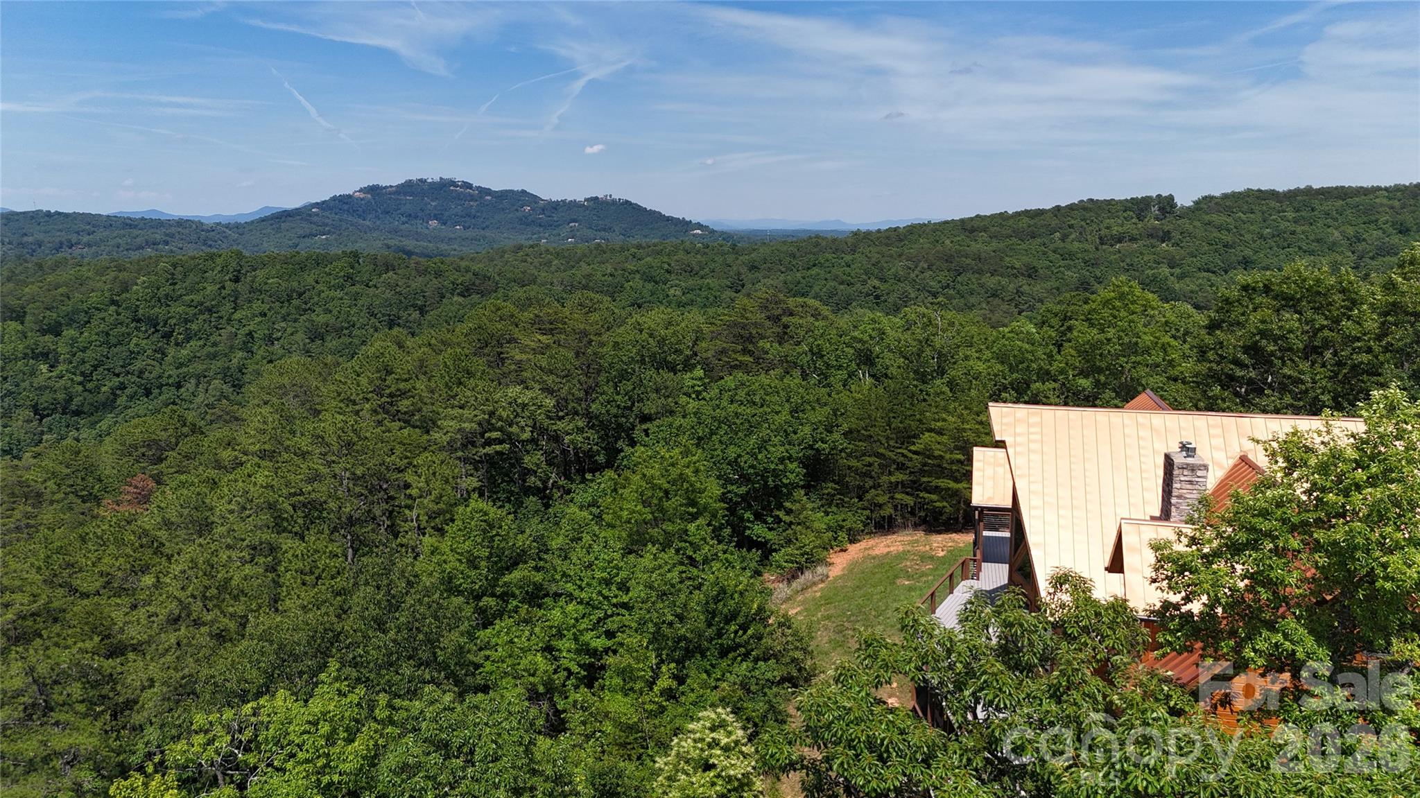 590 Boulder Ridge Lake Lure, NC 28746 - Photo 6 of 18