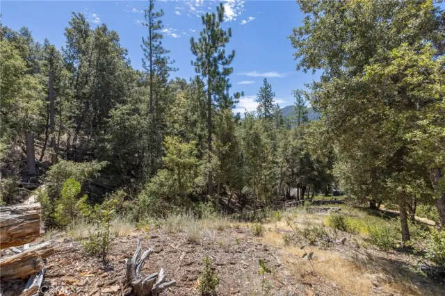 a view of a yard with large trees