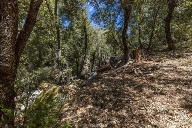 a view of yard covered with snow in outdoor space