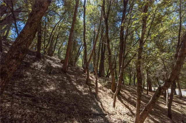 a view of a yard with plants and wooden fence