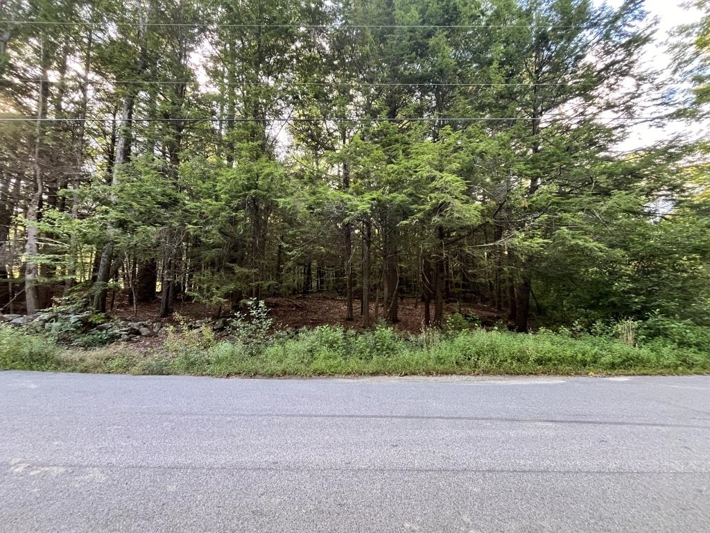 199 Bryant Road Jaffrey, NH 03452 - Photo 3 of 13