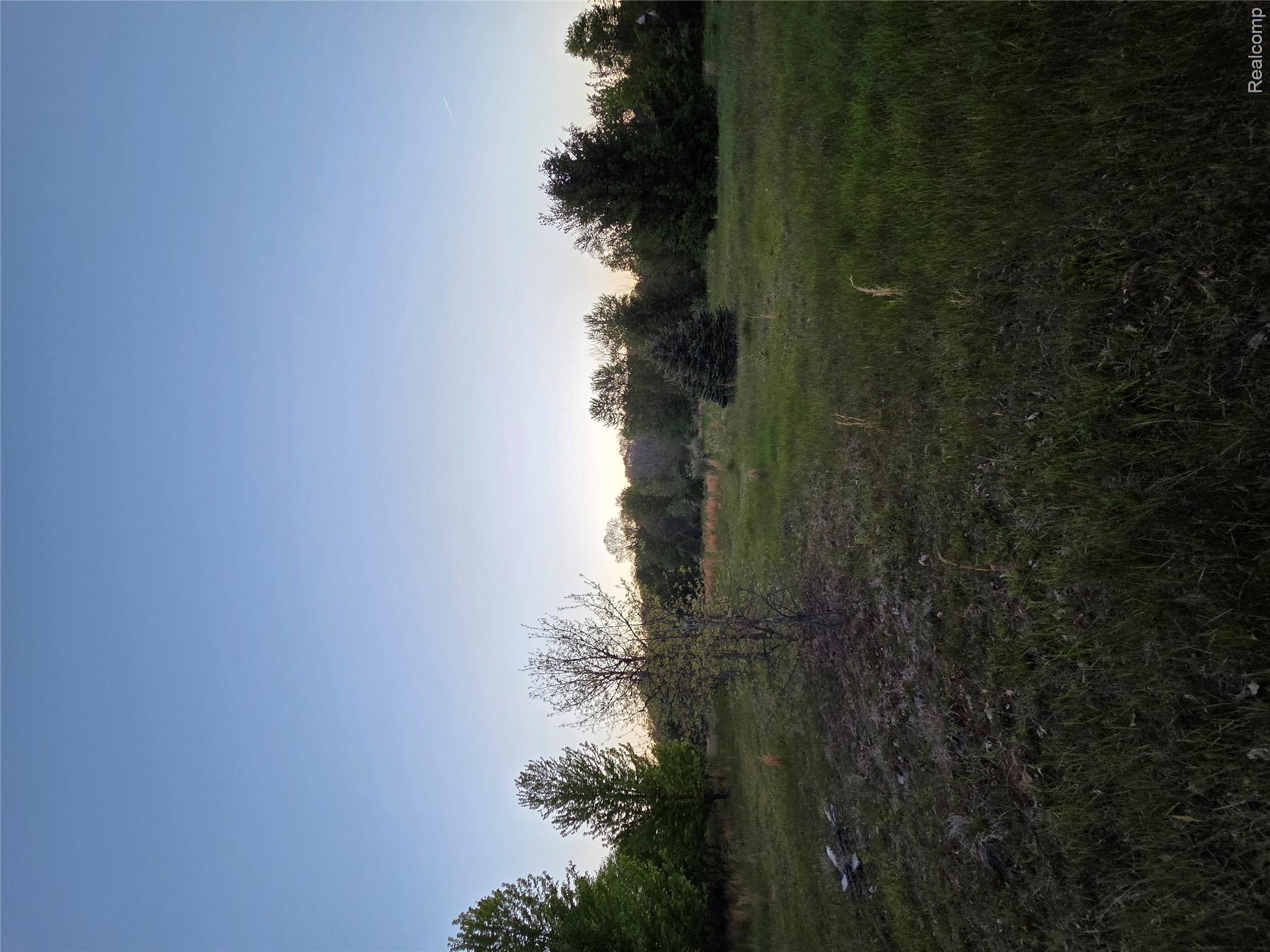 20826 Clark Road Belleville, MI 48111 - Photo 7 of 7 image4.jpeg