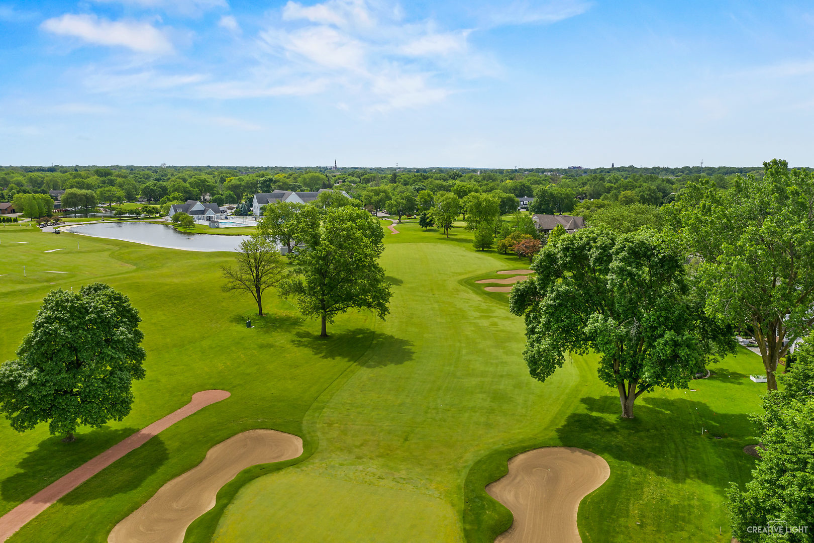 972 West Bauer Road Naperville, IL 60563 - Photo 29 of 32 a view of a city