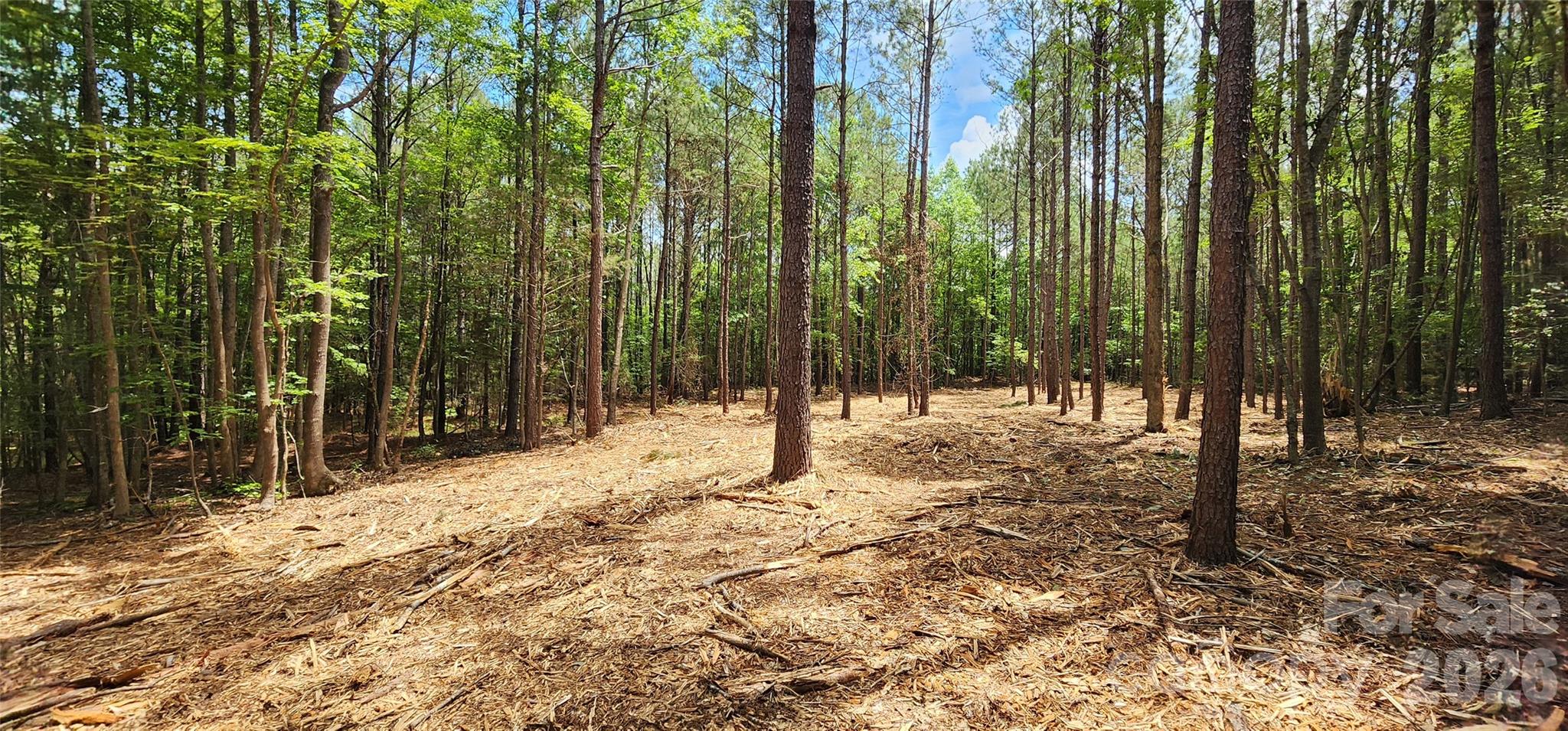 4870 Old Airport Road Winnsboro, SC 29180 - Photo 16 of 38