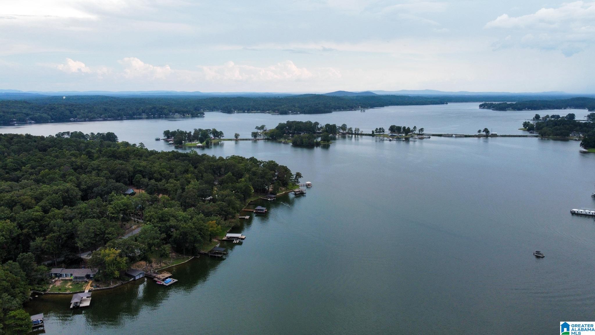 105 Rabbit Point Road Cropwell, AL 35054 - Photo 60 of 62