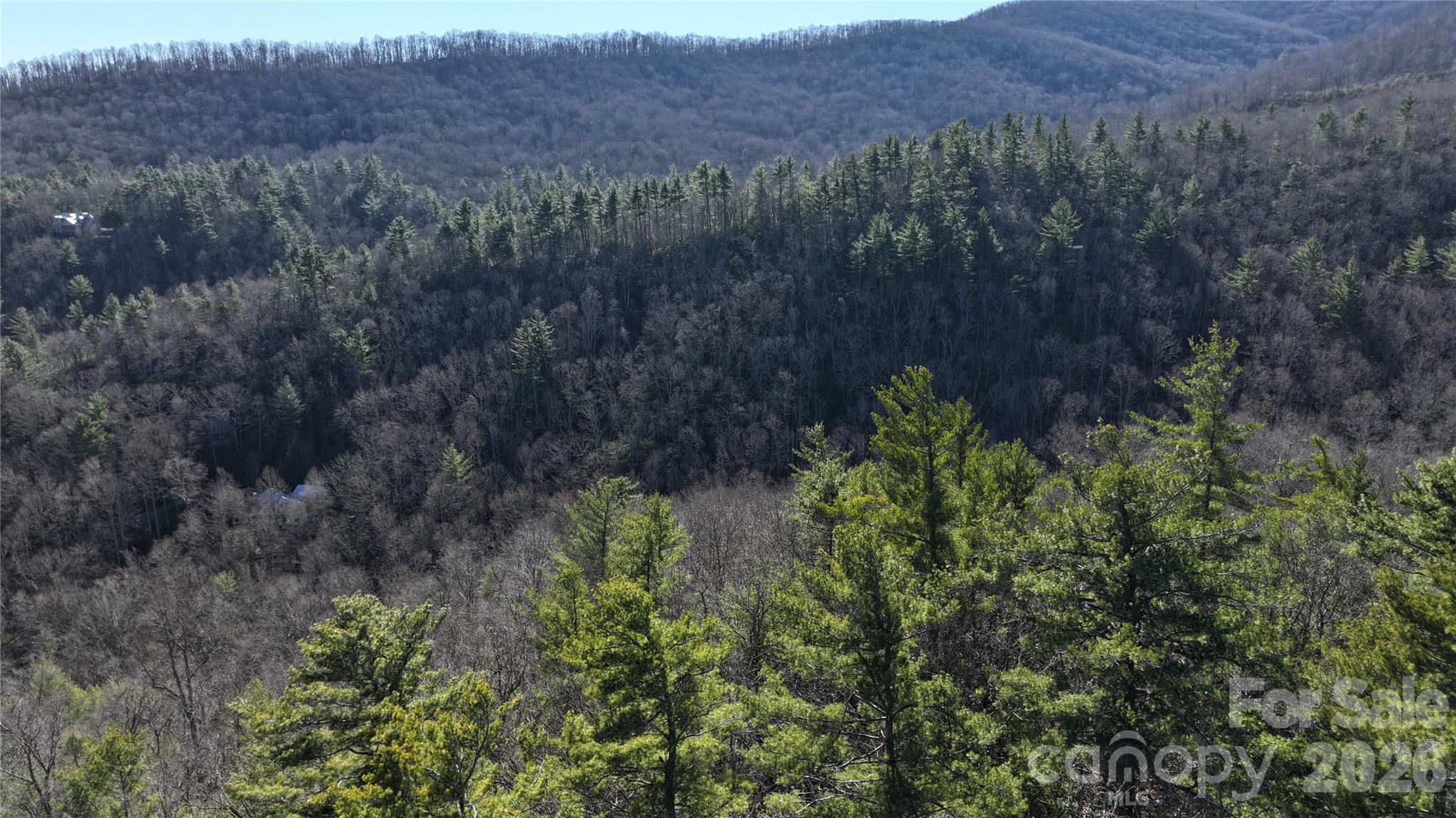 Tbd Pine Point Road Spruce Pine, NC 28777 - Photo 8 of 27