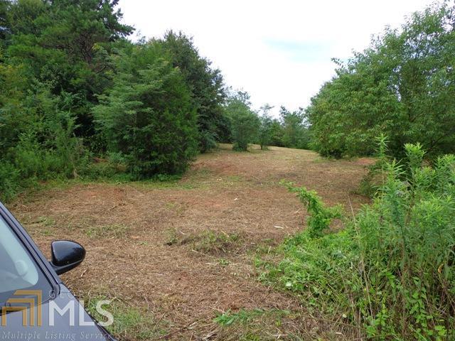 0 Emory Chambers Road, Unit TRACT ONE Lula, GA 30554 - Photo 1 of 1