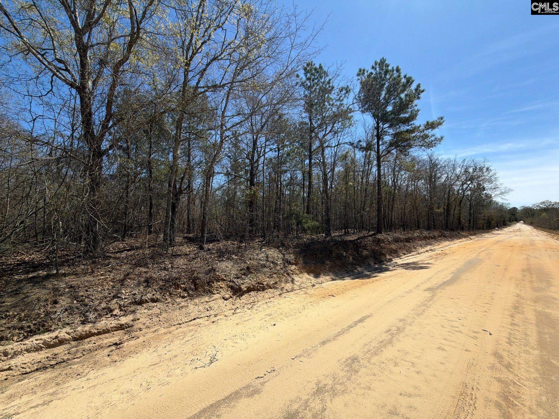 9 Boise Cascade Road, Unit BHL 9 Bethune, SC 29009 - Photo 1 of 44