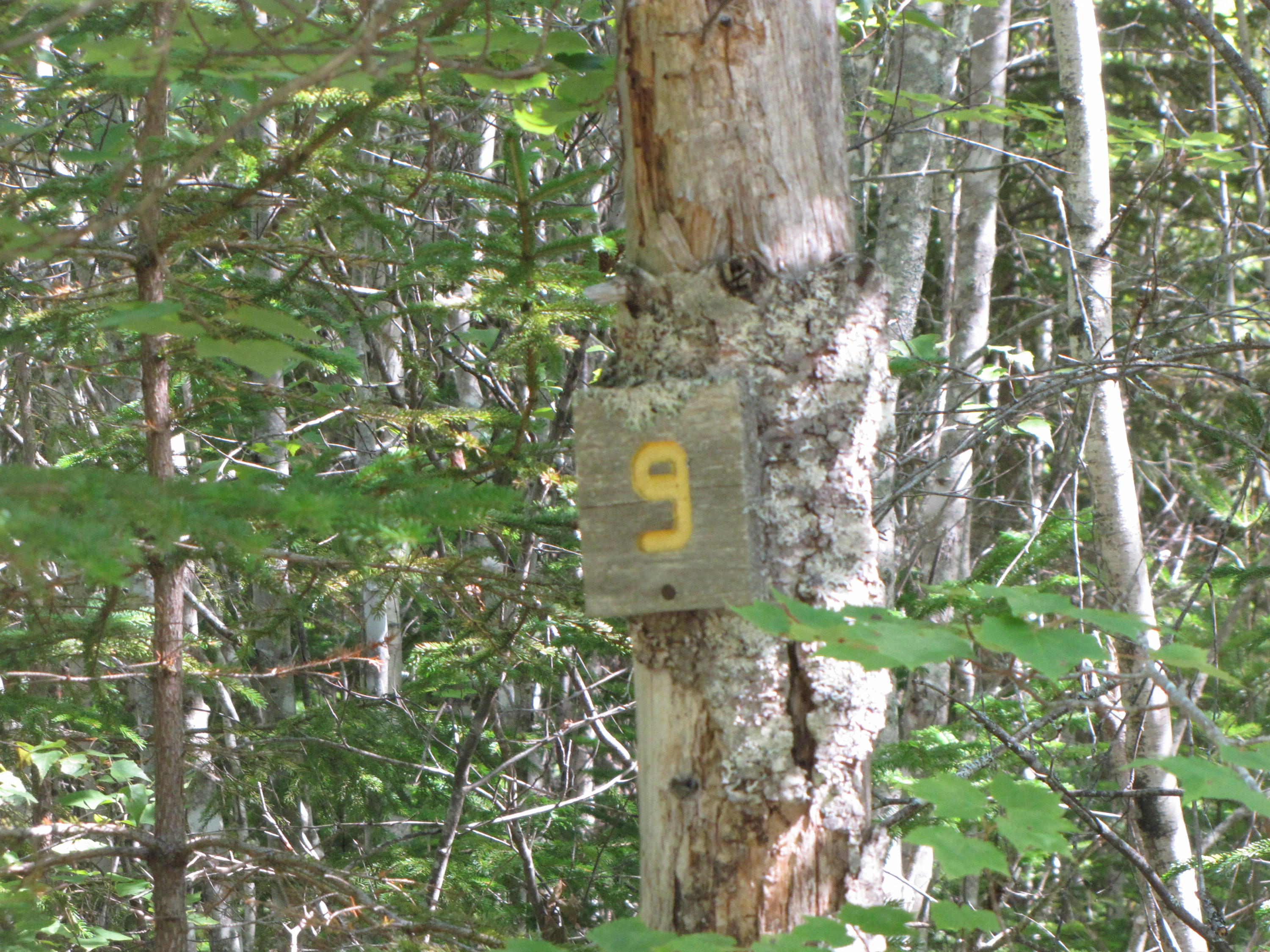 03 Plan Cherryfield, ME 04622 - Photo 6 of 36 IMG_0432