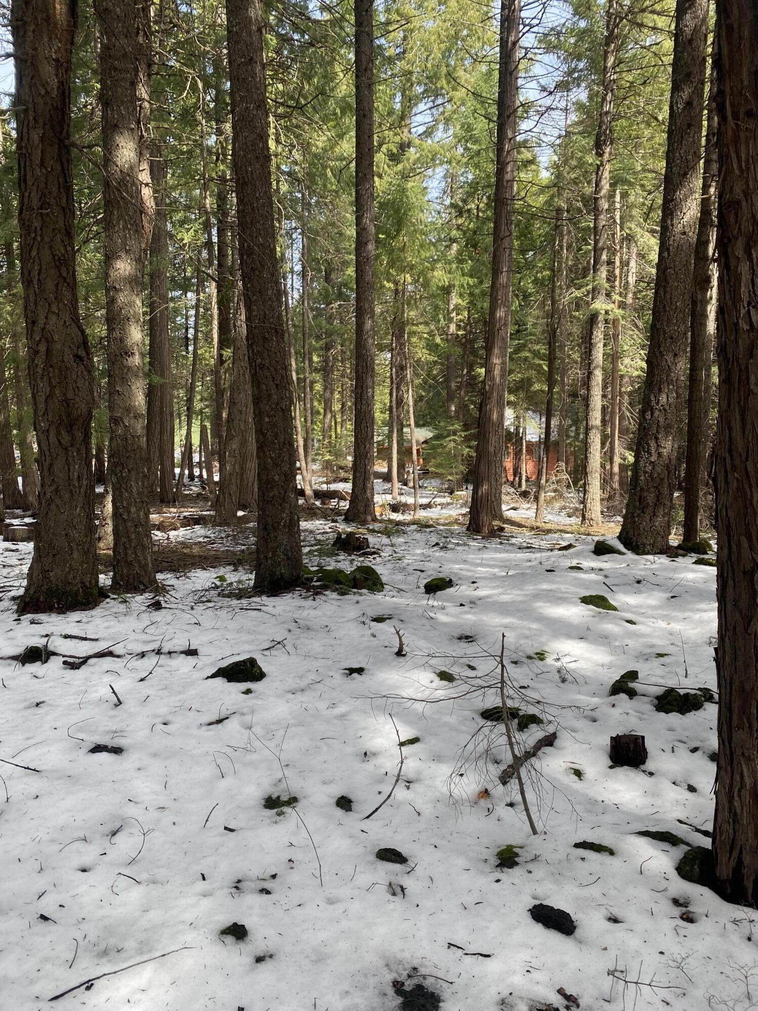 Meteorite Way Shingletown, CA 96088 - Photo 2 of 3 IMG-2747