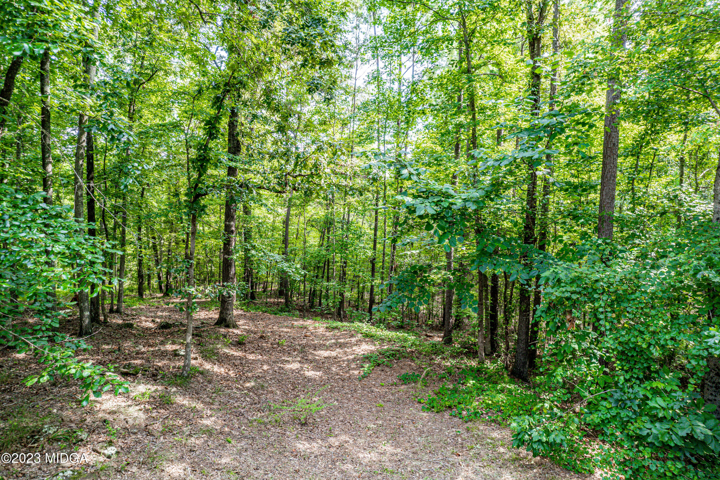 436 Hopewell Road Forsyth, GA 31029 - Photo 42 of 42 436 Hopewell Rd-0350