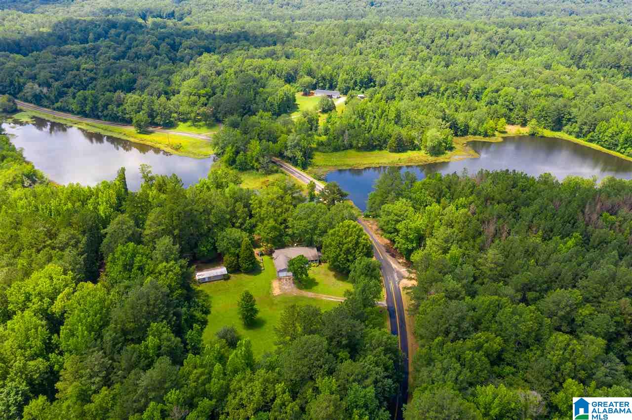 1281 Highway 59 Vincent, AL 35178 - Photo 34 of 38
