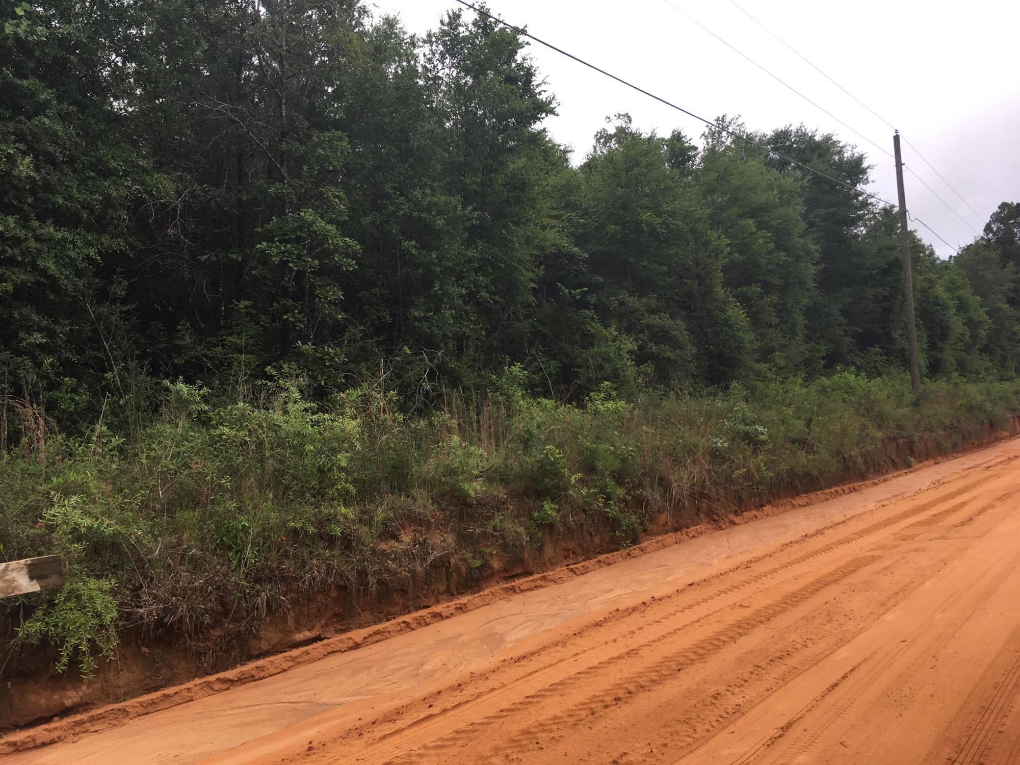 14.5-acres McCallum Road Crestview, FL 32539 - Photo 2 of 4 19047327_1484032051646937_1364493651_o