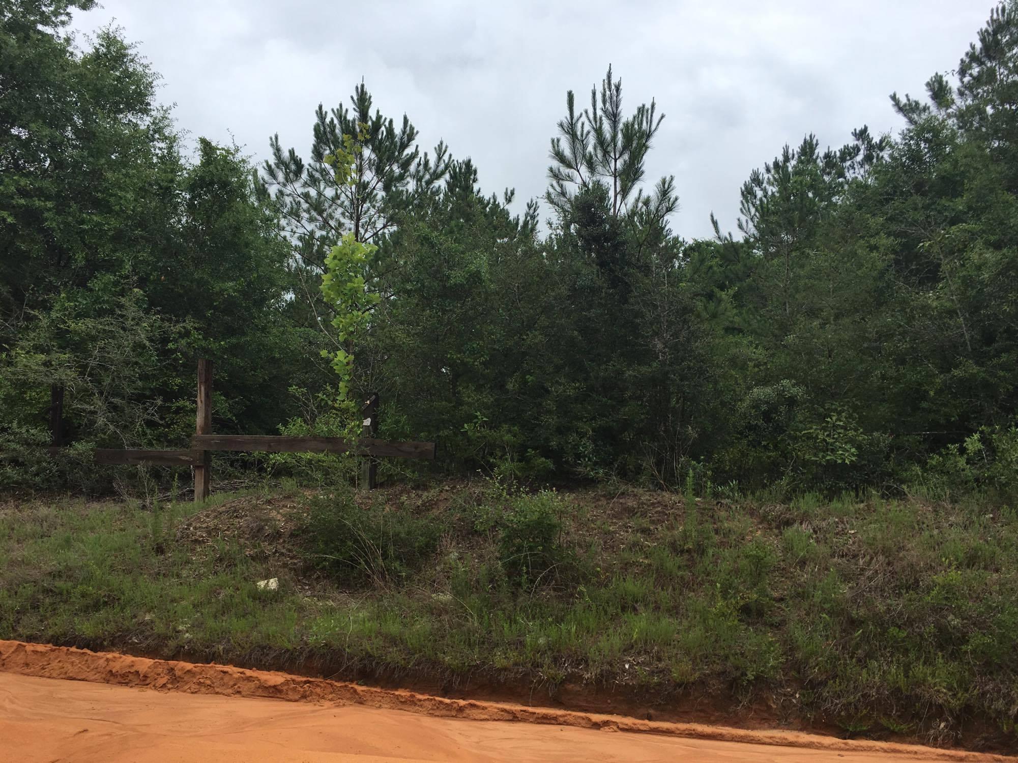 14.5-acres McCallum Road Crestview, FL 32539 - Photo 3 of 4 19048720_1484032864980189_2131403019_o