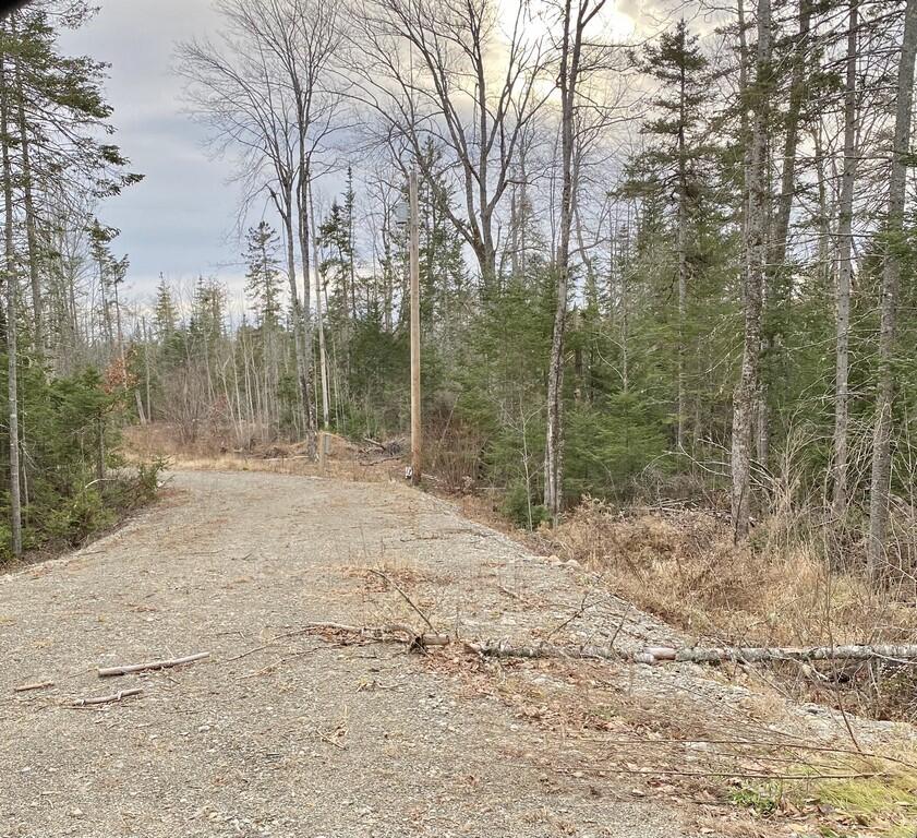 Lot 6-56 Goshen Road Winterport, ME 04496 - Photo 1 of 5 009A8102-2F5F-4DD2-8449-CFB9829540F4 (Co