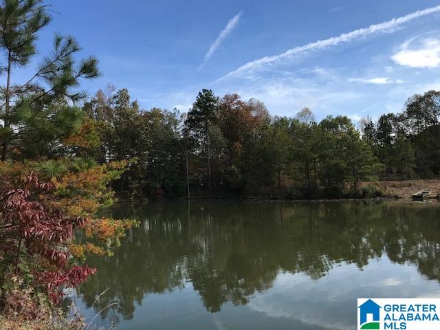 Lot 5 Deer Ridge Drive, Unit LOT # 5 Pelham, AL 35124 - Photo 7 of 8