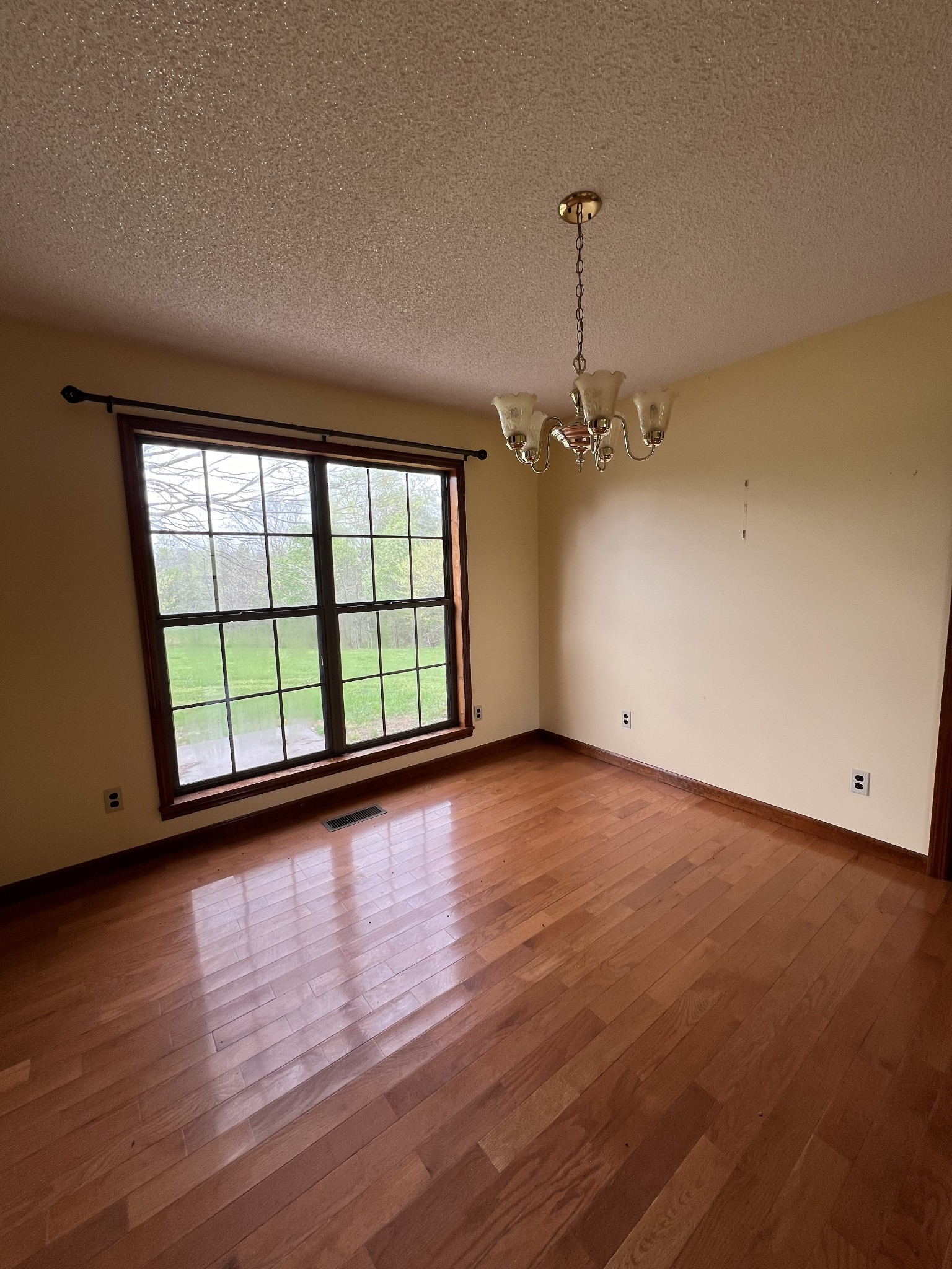 13254 Galen Road Lafayette, TN 37083 - Photo 8 of 19 wooden floor in an empty room with a window