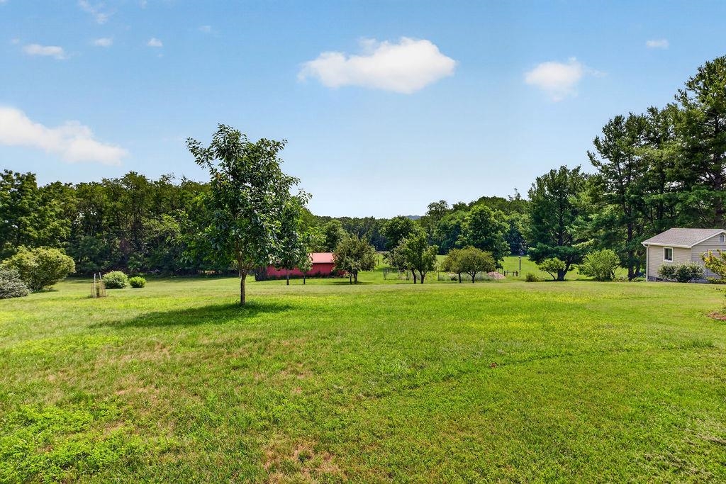 120 Trinity Point Road Swoope, VA 24479 - Photo 50 of 75