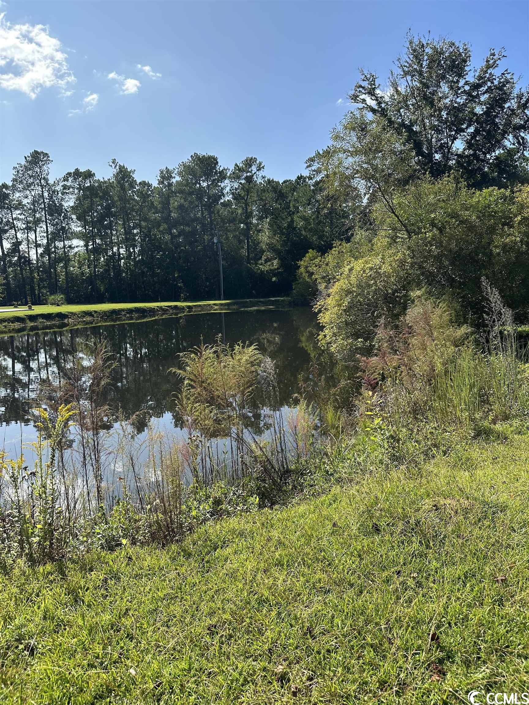 1276 Dipping Vat Road Galivants Ferry, SC 29544 - Photo 23 of 34 Gallery Image 23