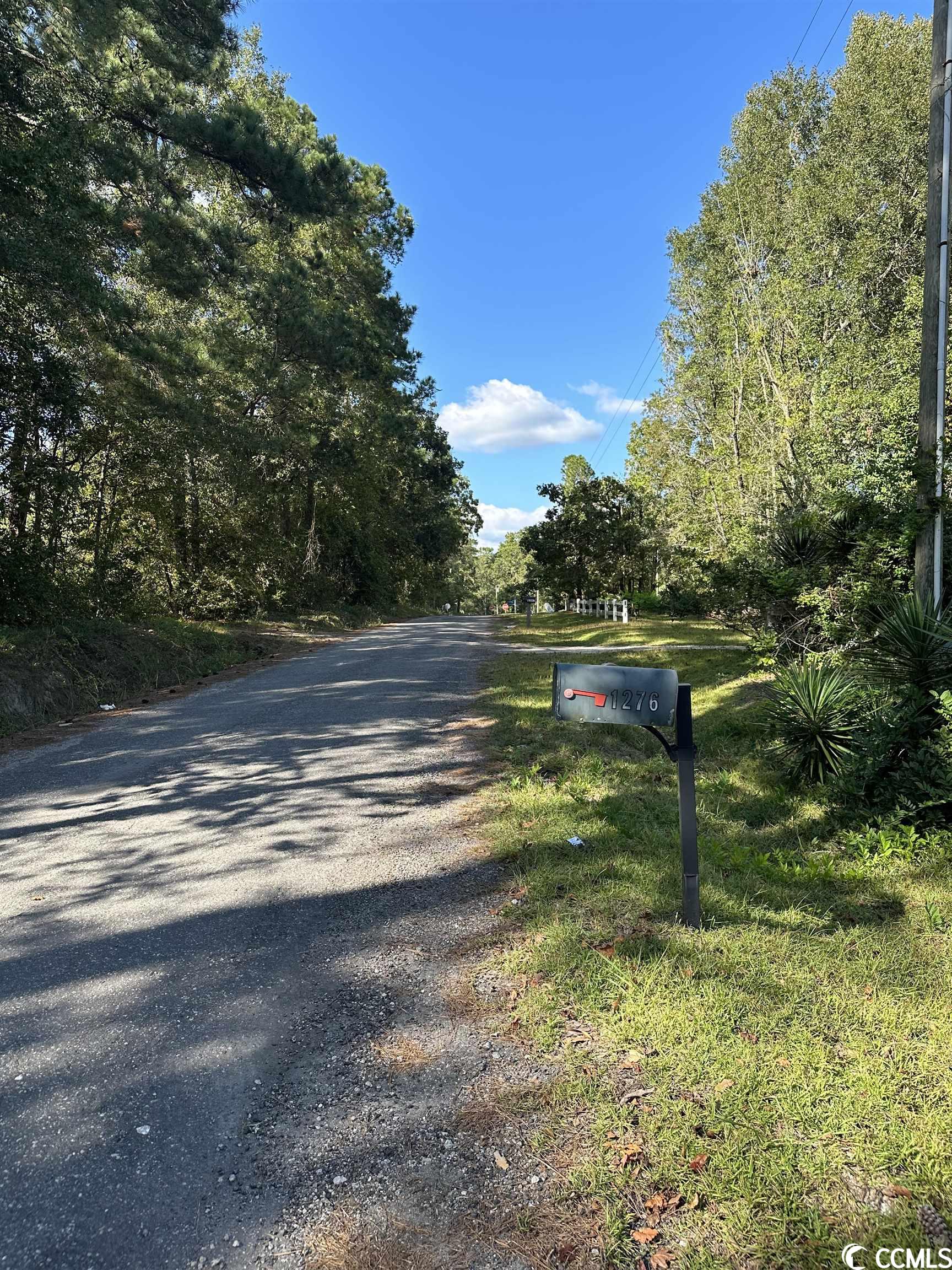 1276 Dipping Vat Road Galivants Ferry, SC 29544 - Photo 33 of 34 Gallery Image 33