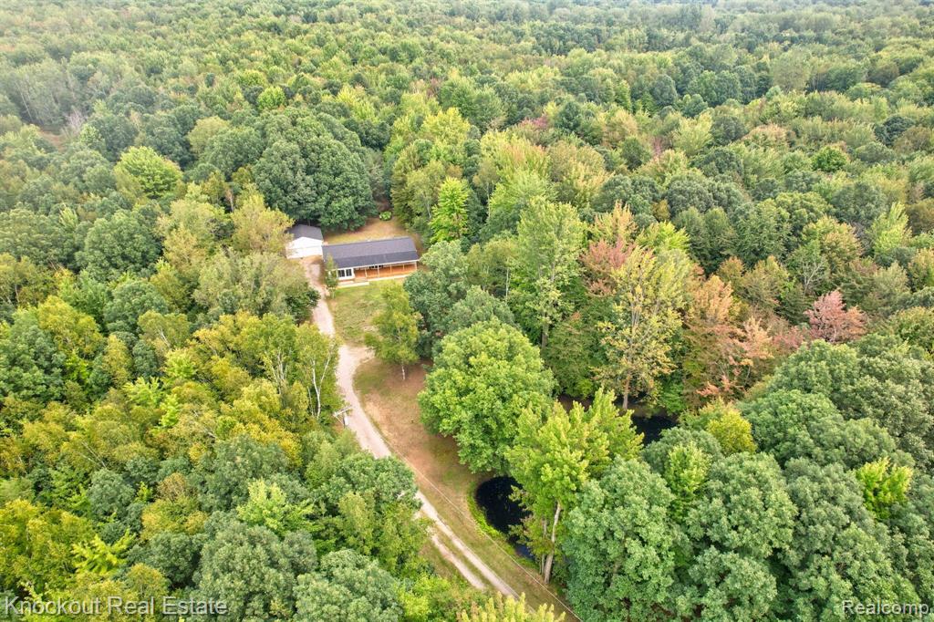 5784 Ormes Road Vassar, MI 48768 - Photo 54 of 65