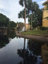 8761 Wiles Road, Unit 103 Coral Springs, FL 33067 - Photo 6 of 10 lake