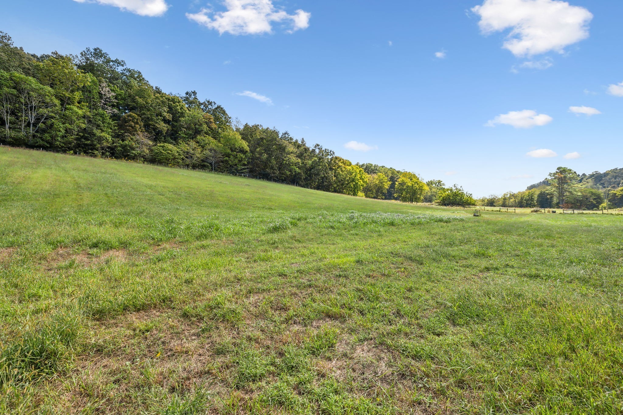 6 Young Road Pulaski, TN 38478 - Photo 1 of 15 a view of a green field with lots of bushes