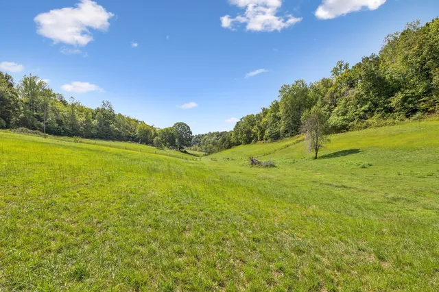 a view of an ocean and a yard