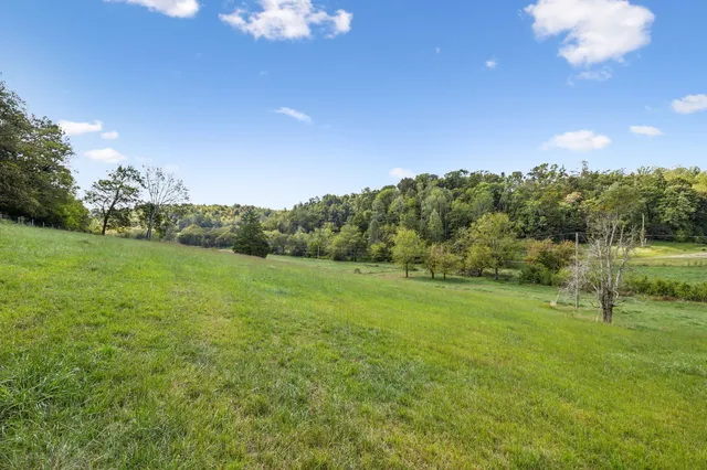 a view of a grassy field with trees