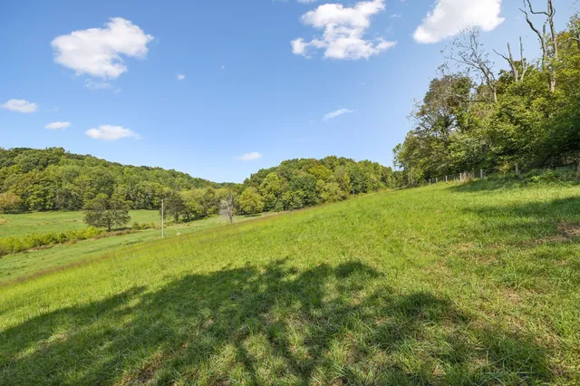 a view of a big yard with swimming pool and green space
