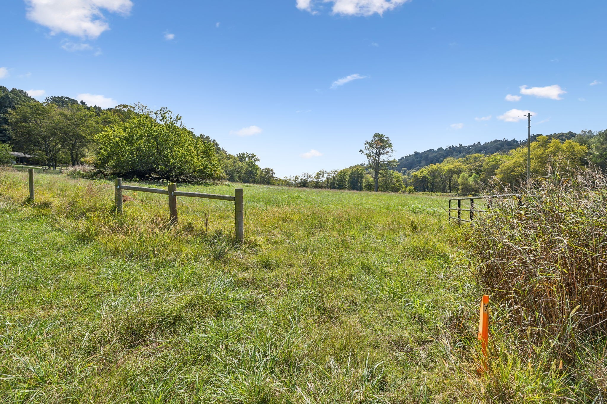 6 Young Road Pulaski, TN 38478 - Photo 7 of 15 a view of a lake with a big yard
