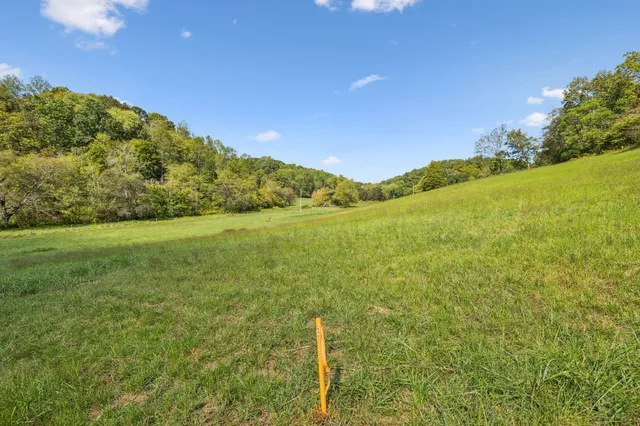 a view of a field with an ocean