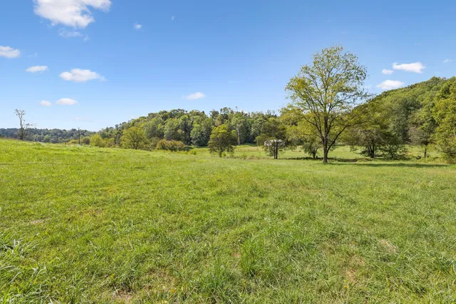 a view of a field with an trees