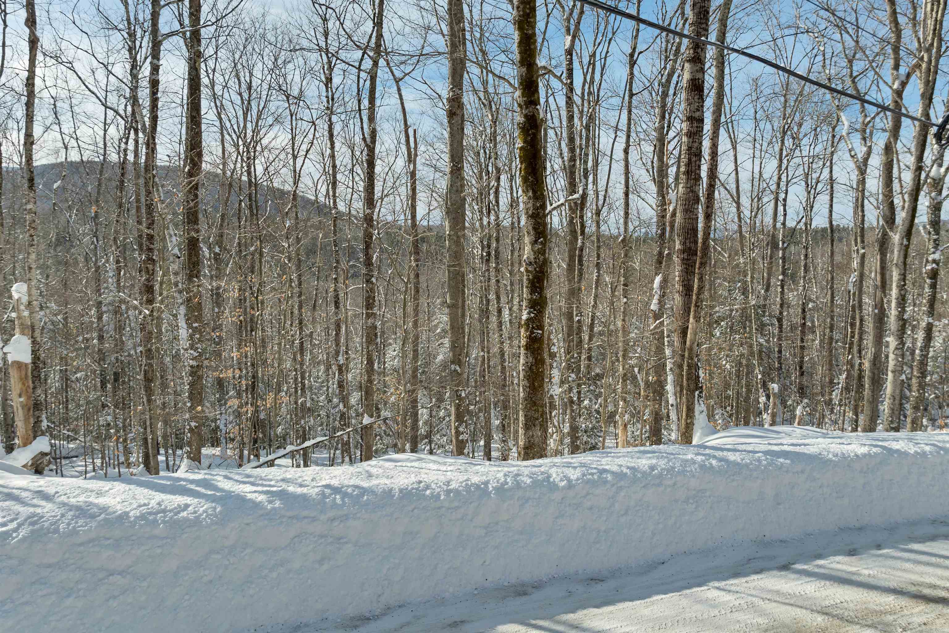 Breezy Point Road Warren, NH 03279 - Photo 2 of 11 Gallery Image 2