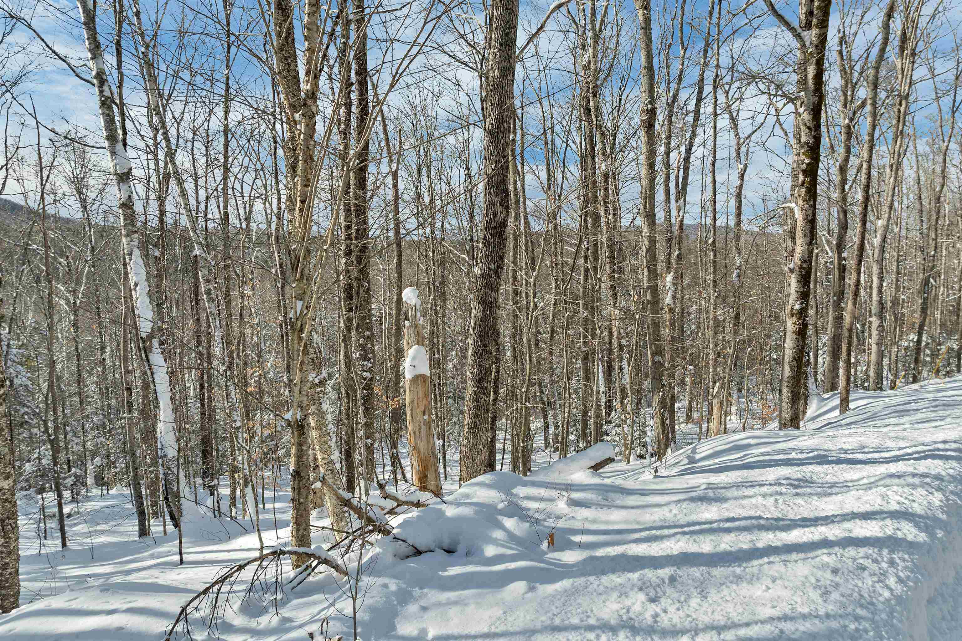 Breezy Point Road Warren, NH 03279 - Photo 4 of 11 Gallery Image 4