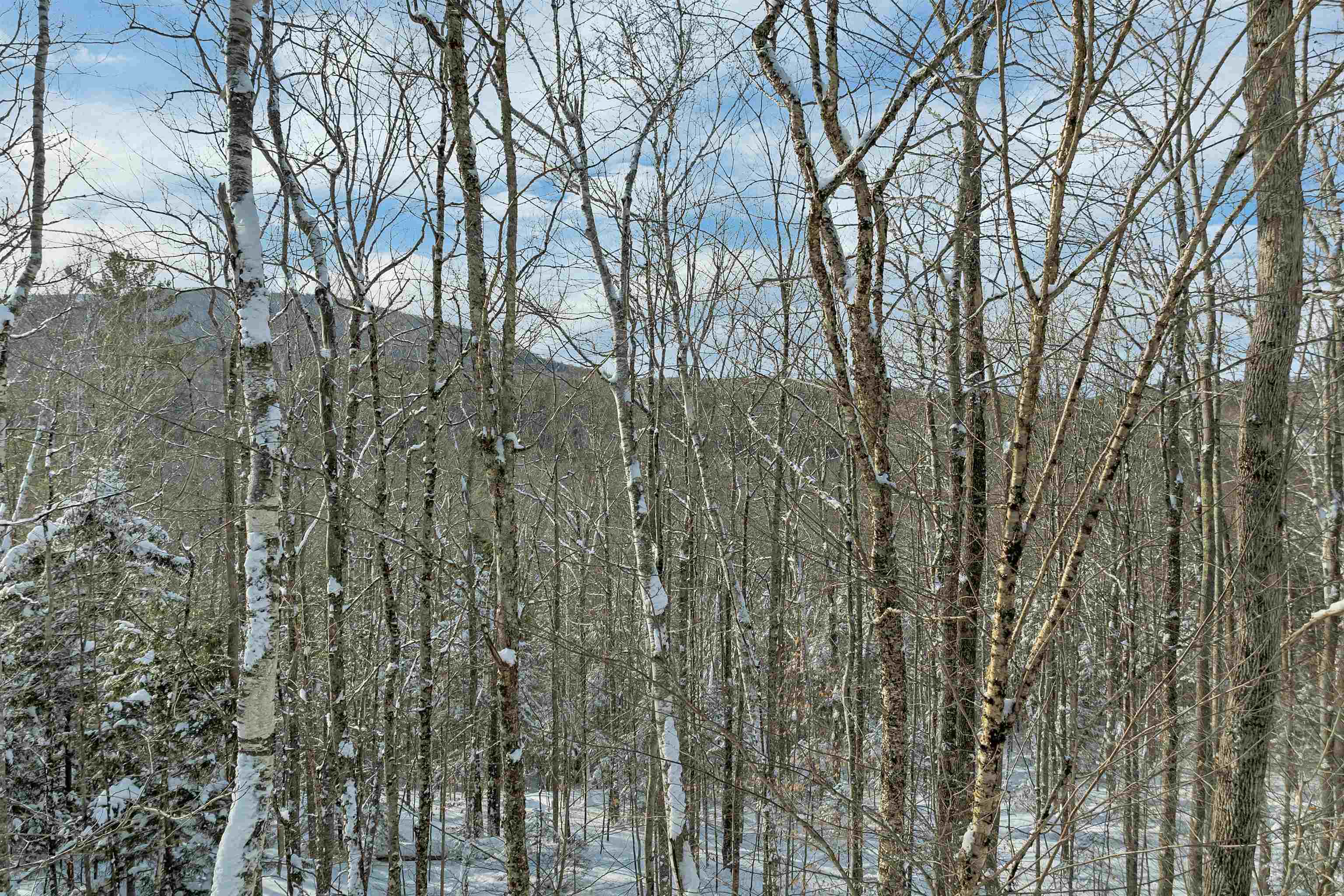 Breezy Point Road Warren, NH 03279 - Photo 5 of 11 Gallery Image 5