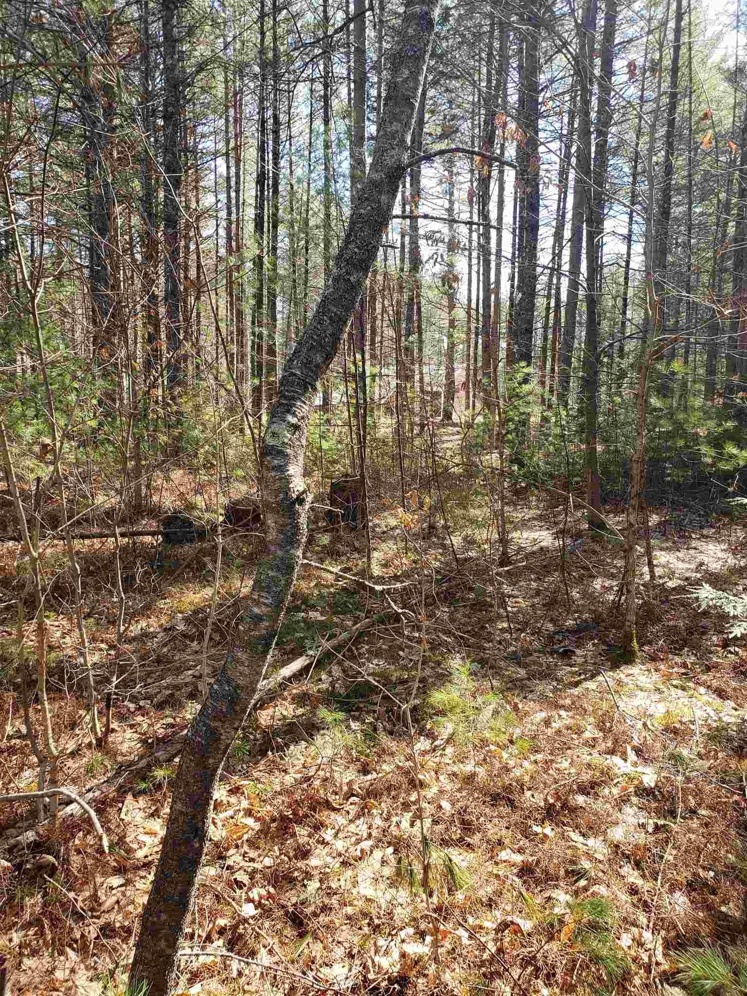 80 Butterfield Mill Road New Boston, NH 03070 - Photo 2 of 27 Gallery Image 2