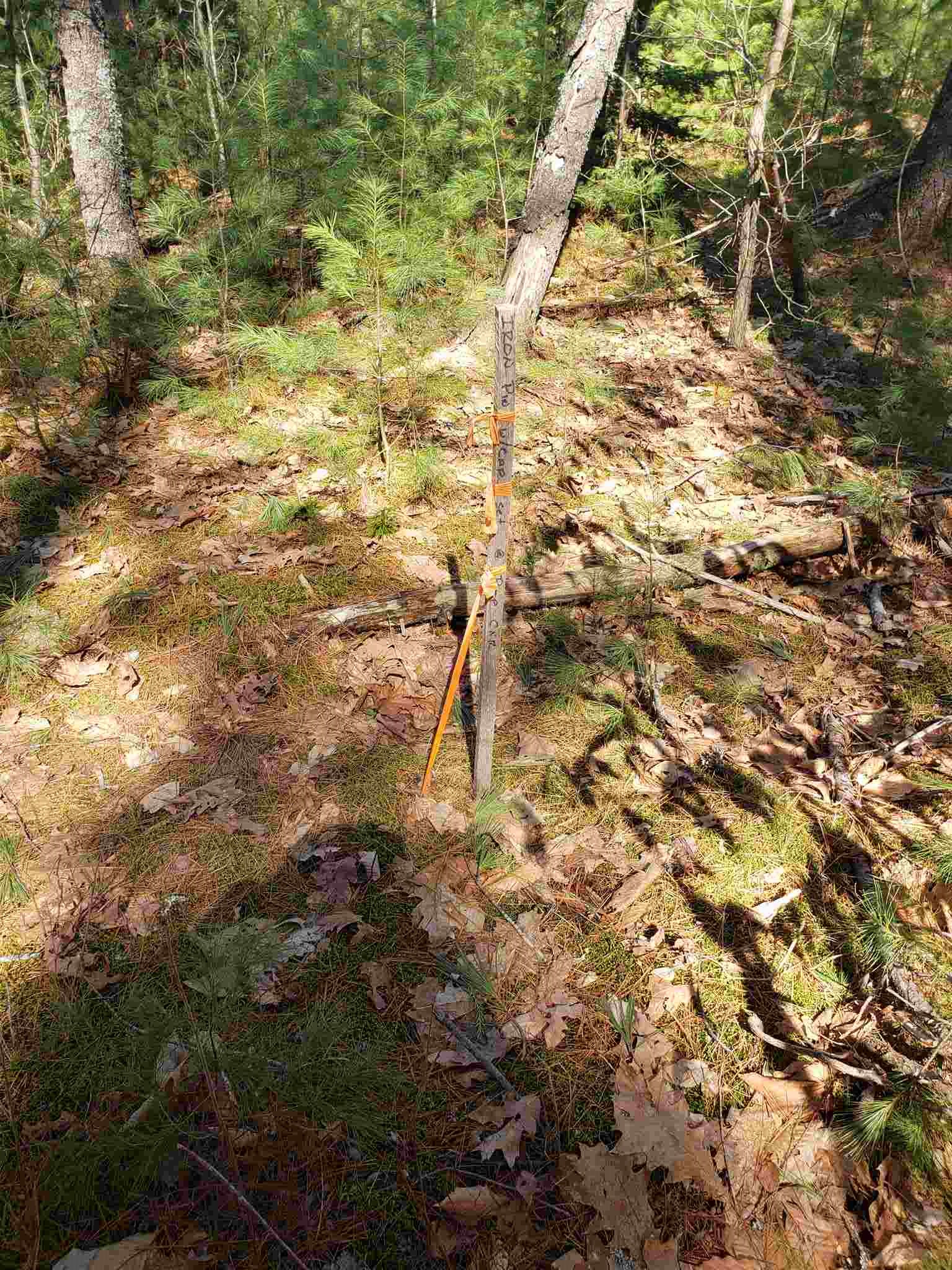 80 Butterfield Mill Road New Boston, NH 03070 - Photo 25 of 27 Gallery Image 25