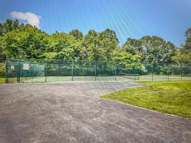 a view of a swimming pool with a yard