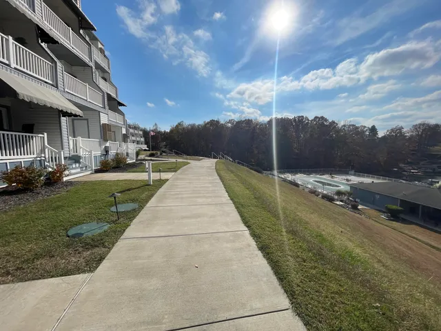 a view of a backyard