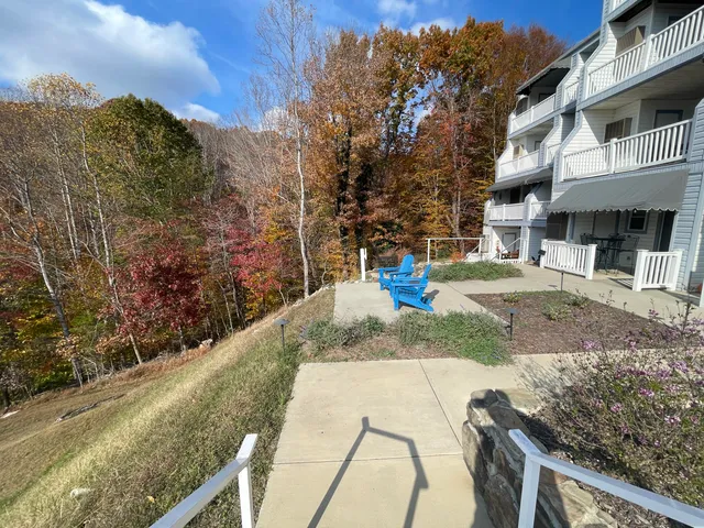 a view of a yard with more trees