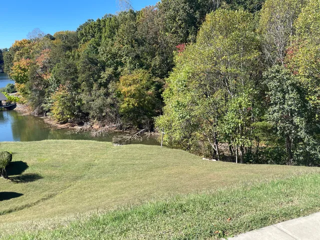 a view of outdoor space and yard