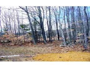 48 Swallow Road Belmont, NH 03220 - Photo 3 of 3
